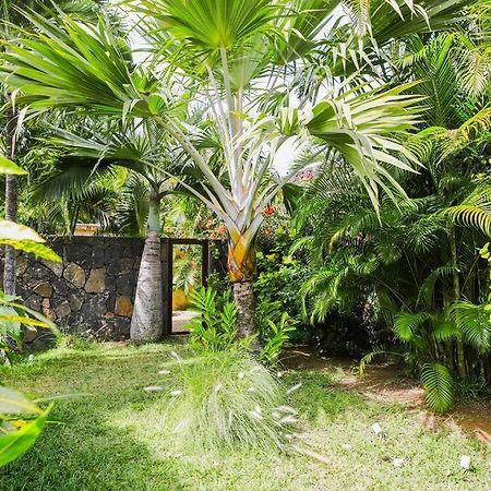 Villa Tropicale Balinaise Intimiste Grand Baie Exteriör bild