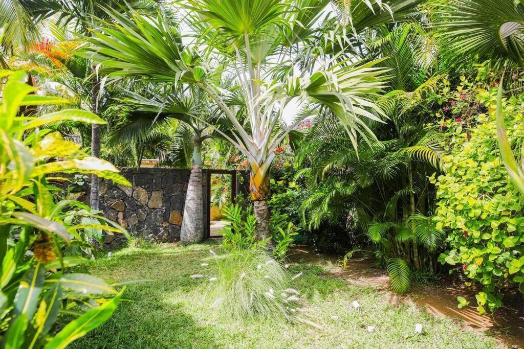 Villa Tropicale Balinaise Intimiste Grand Baie Exteriör bild