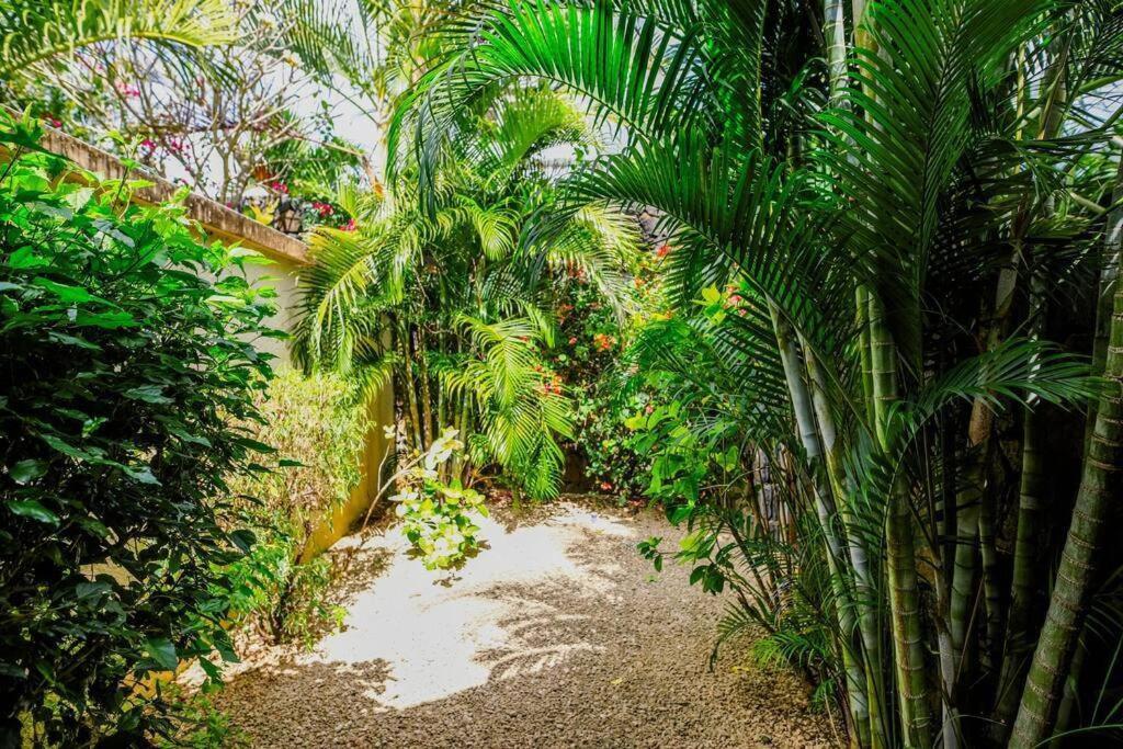 Villa Tropicale Balinaise Intimiste Grand Baie Exteriör bild